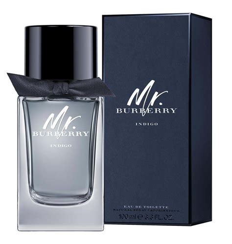 mr burberry eau de toilette set|mr burberry indigo fragrantica.